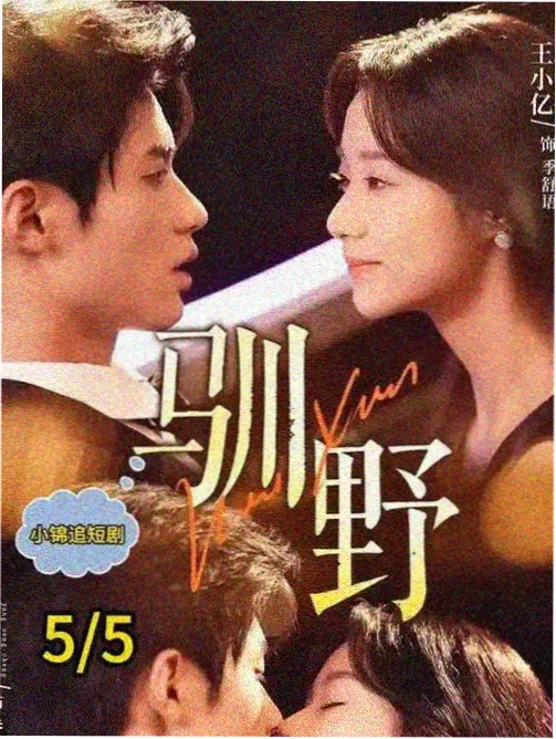 灰烬重生 剧集海报