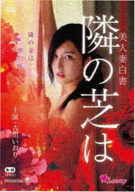 冬日邮差 电影海报